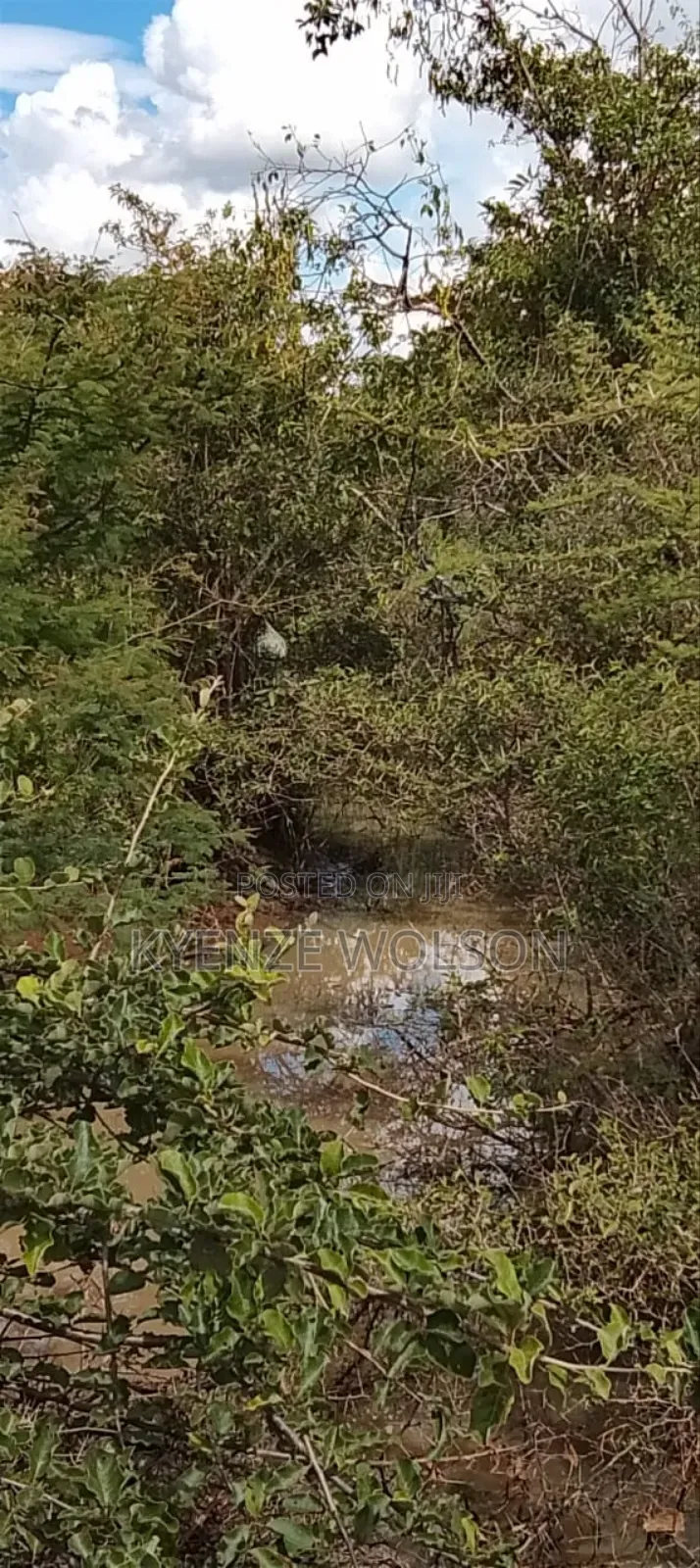 6 Acres Za Kulisha Kulima Kulisha Mbuzi,Ng'ombe