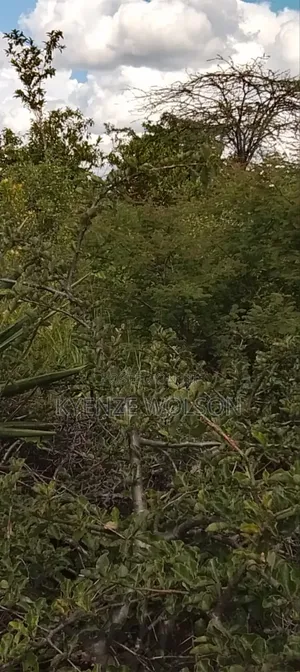 6 Acres Za Kulisha Kulima Kulisha Mbuzi,Ng'ombe