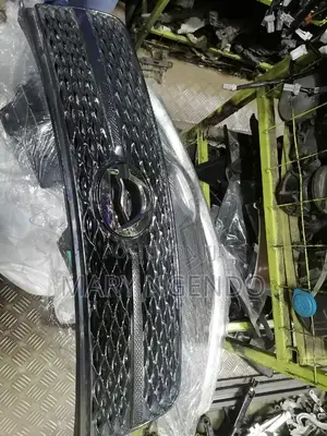 Front Grill for Toyota Fielder