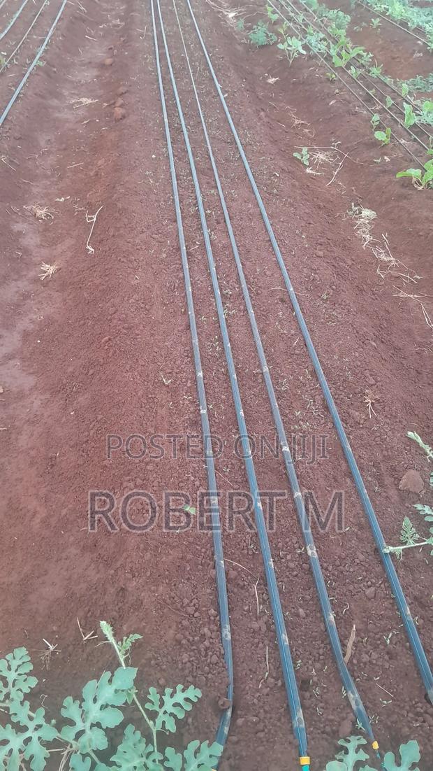 Private 10 Acre Farm With Borehole + Solar - Davis Shirtliff - thumbnail 7