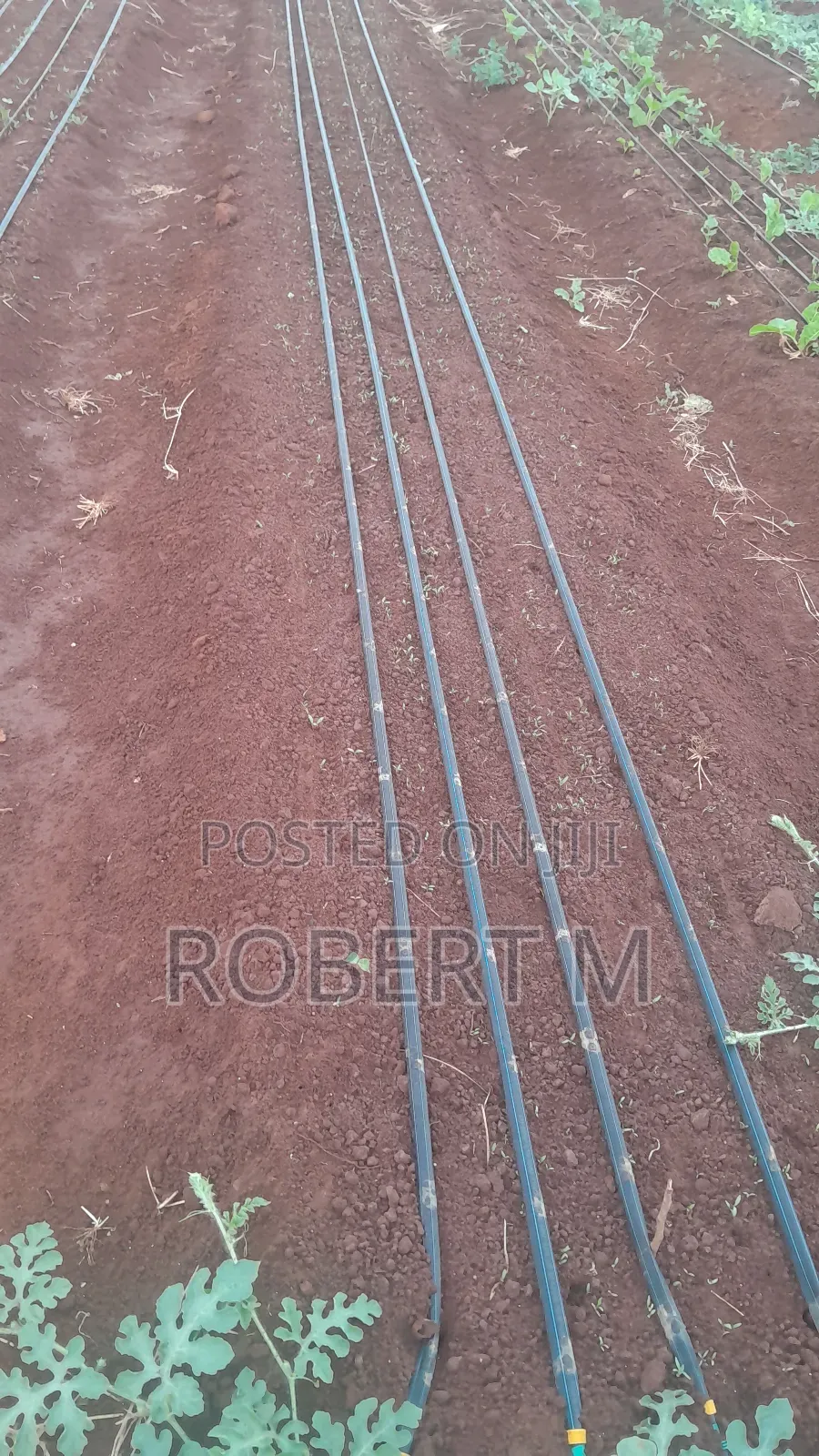 Private 10 Acre Farm With Borehole + Solar - Davis Shirtliff