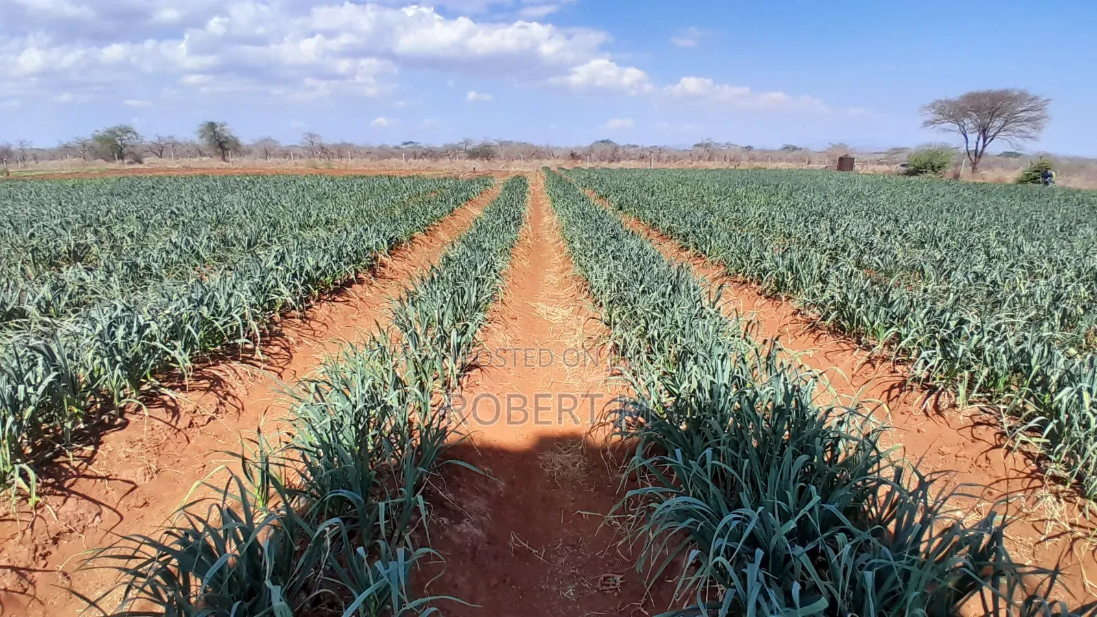 Private 10 Acre Farm With Borehole + Solar - Davis Shirtliff