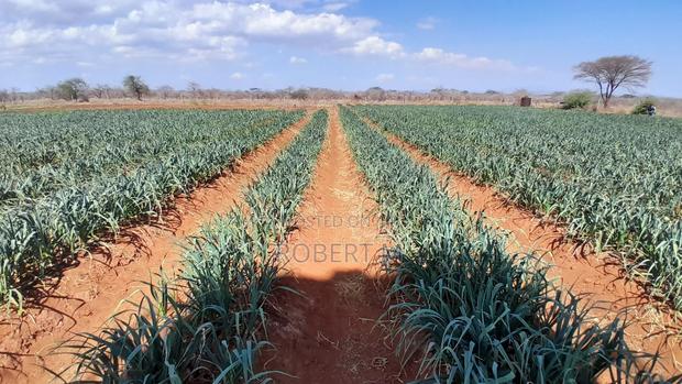 Private 10 Acre Farm With Borehole + Solar - Davis Shirtliff - main view