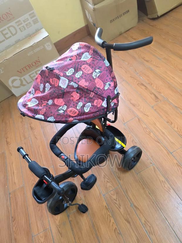 Tricycle With Canopy – Comfort Protection - main view