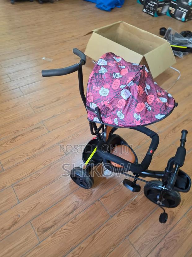 Tricycle With Canopy – Safe Comfortable Ride - main view