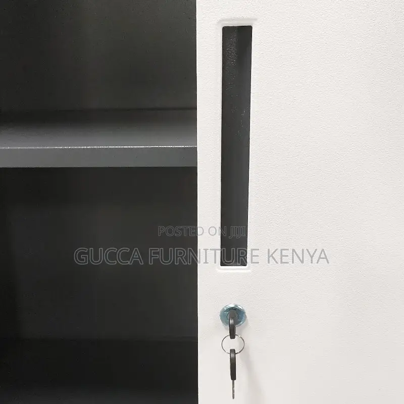 2-door Full Steel Office Storage Cabinet