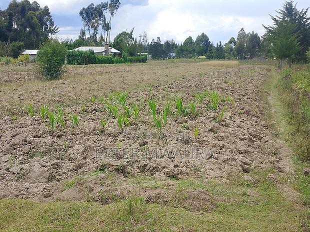 Land for Sale - thumbnail 5