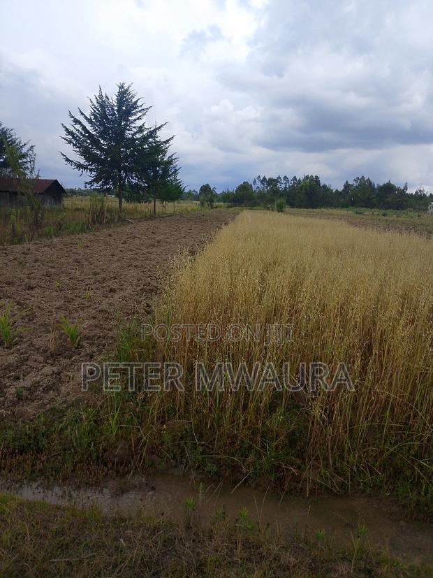 Land for Sale - thumbnail 6