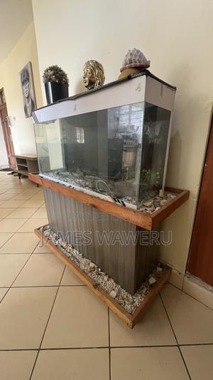 Aquarium for Sale - thumbnail 2