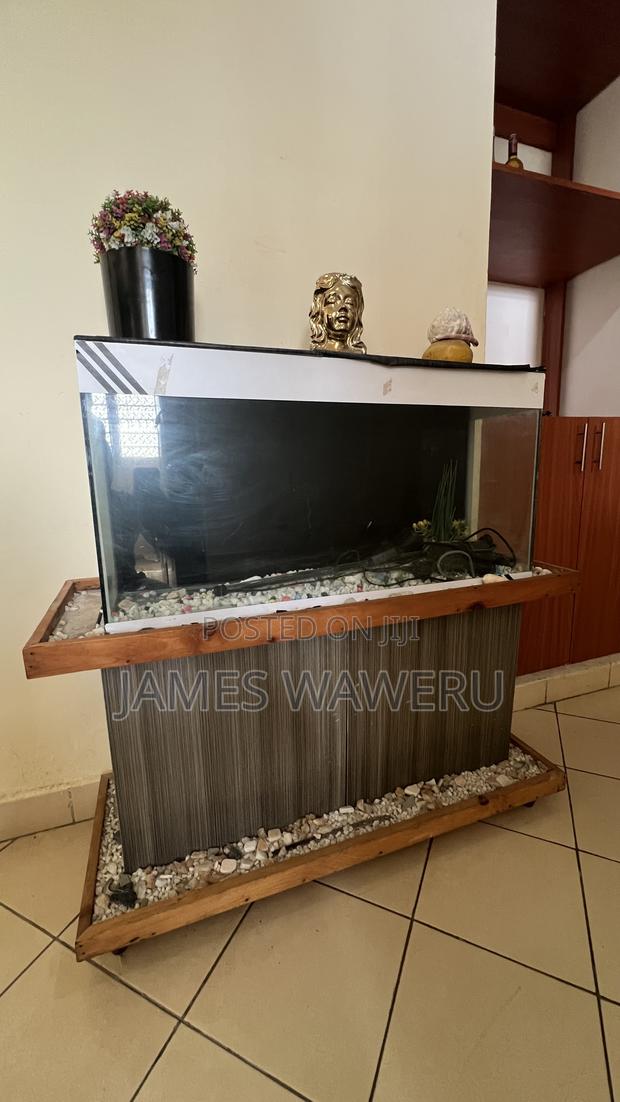 Aquarium for Sale - thumbnail 4