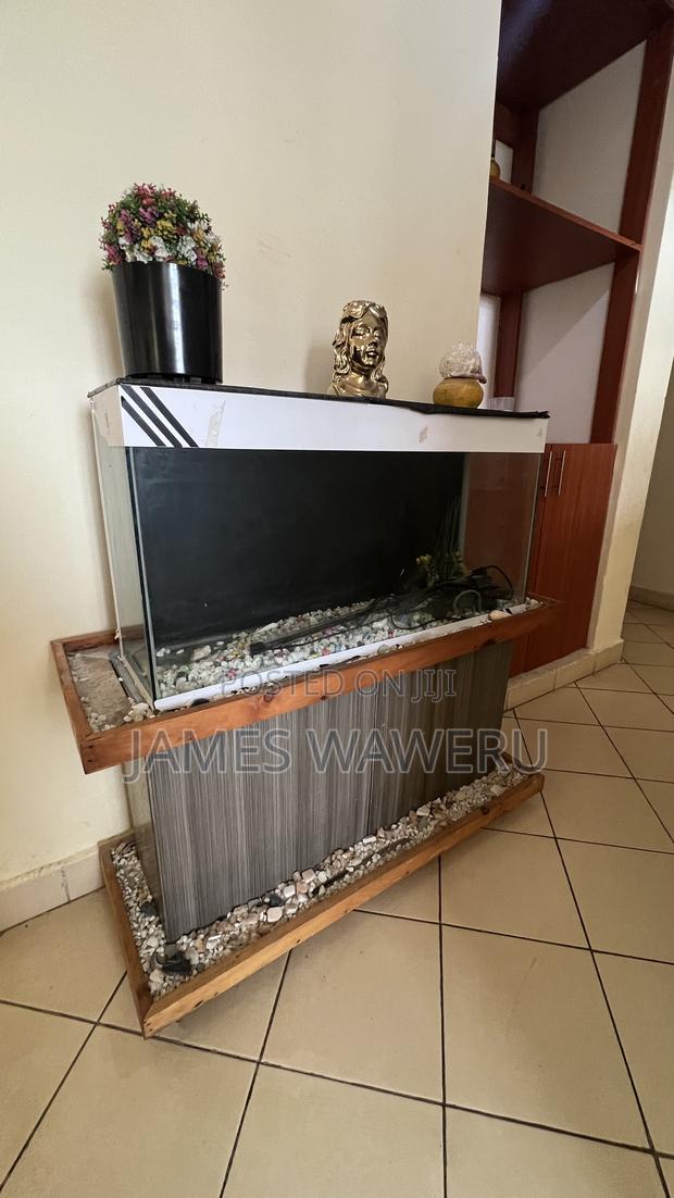 Aquarium for Sale - thumbnail 3