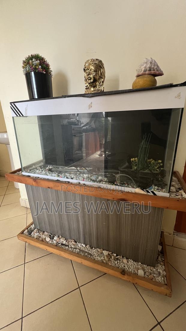 Aquarium for Sale - thumbnail 5