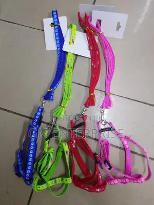 Puppy Leash With Harness