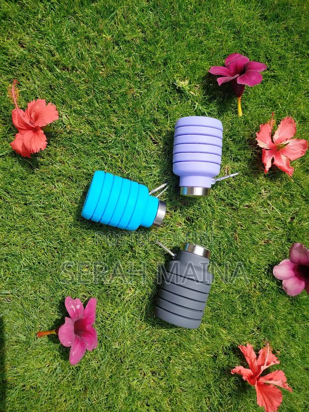 Silicone Expandable Water Bottle - main view