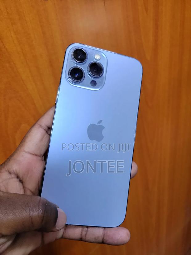 Apple iPhone 13 Pro Max 256 GB Gray - thumbnail 2