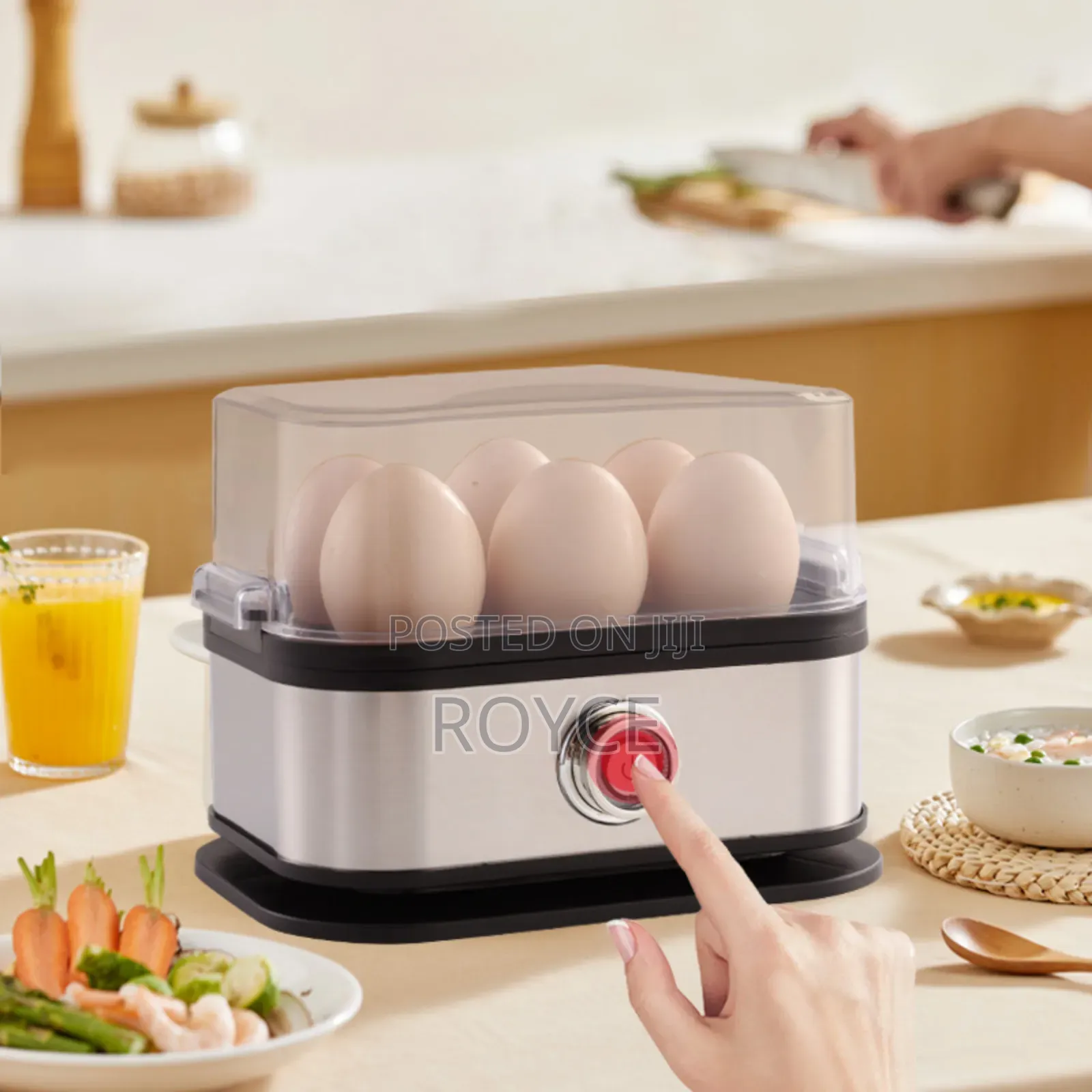 Electric Egg Cooker