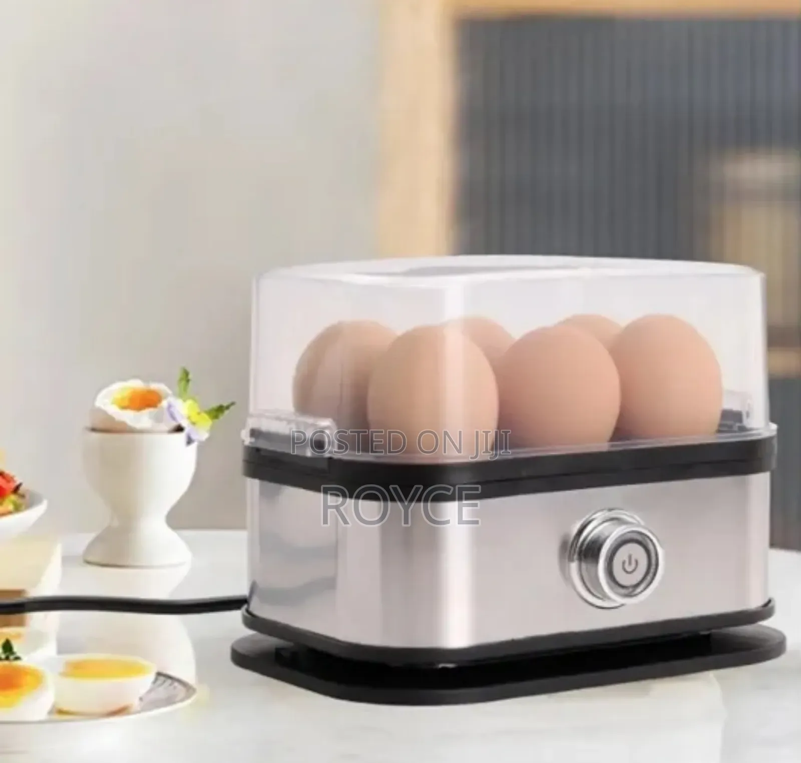 Electric Egg Cooker