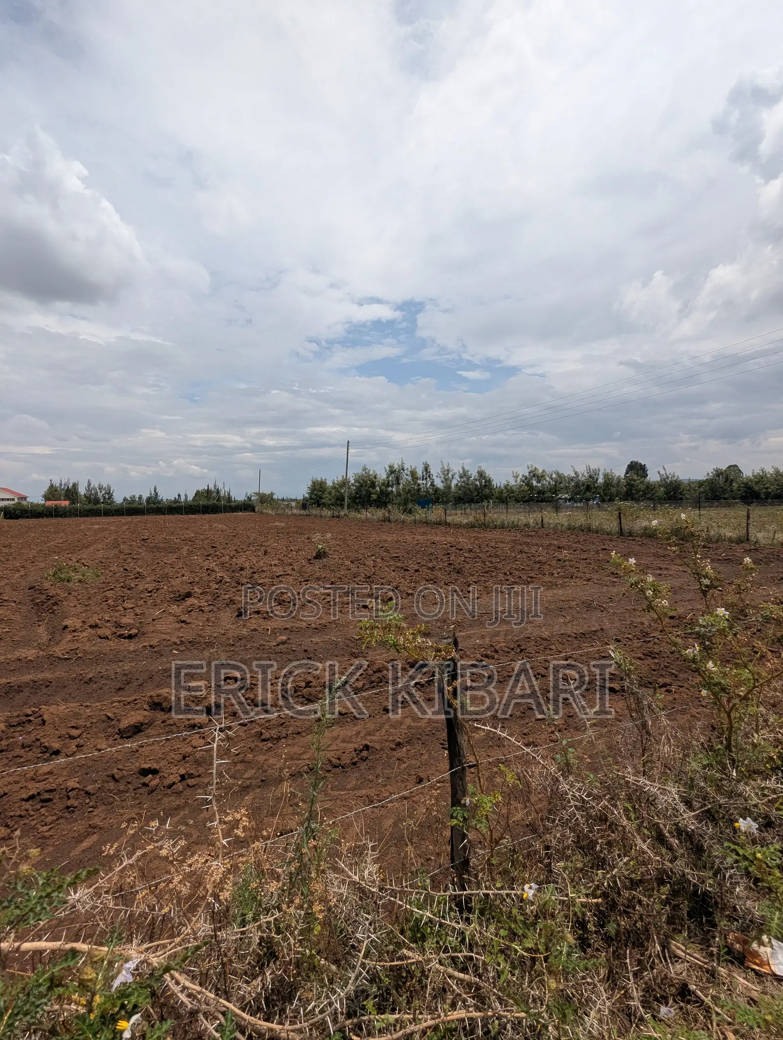 1 Acre Piece of Land