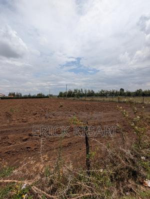 1 Acre Piece of Land - thumbnail 2