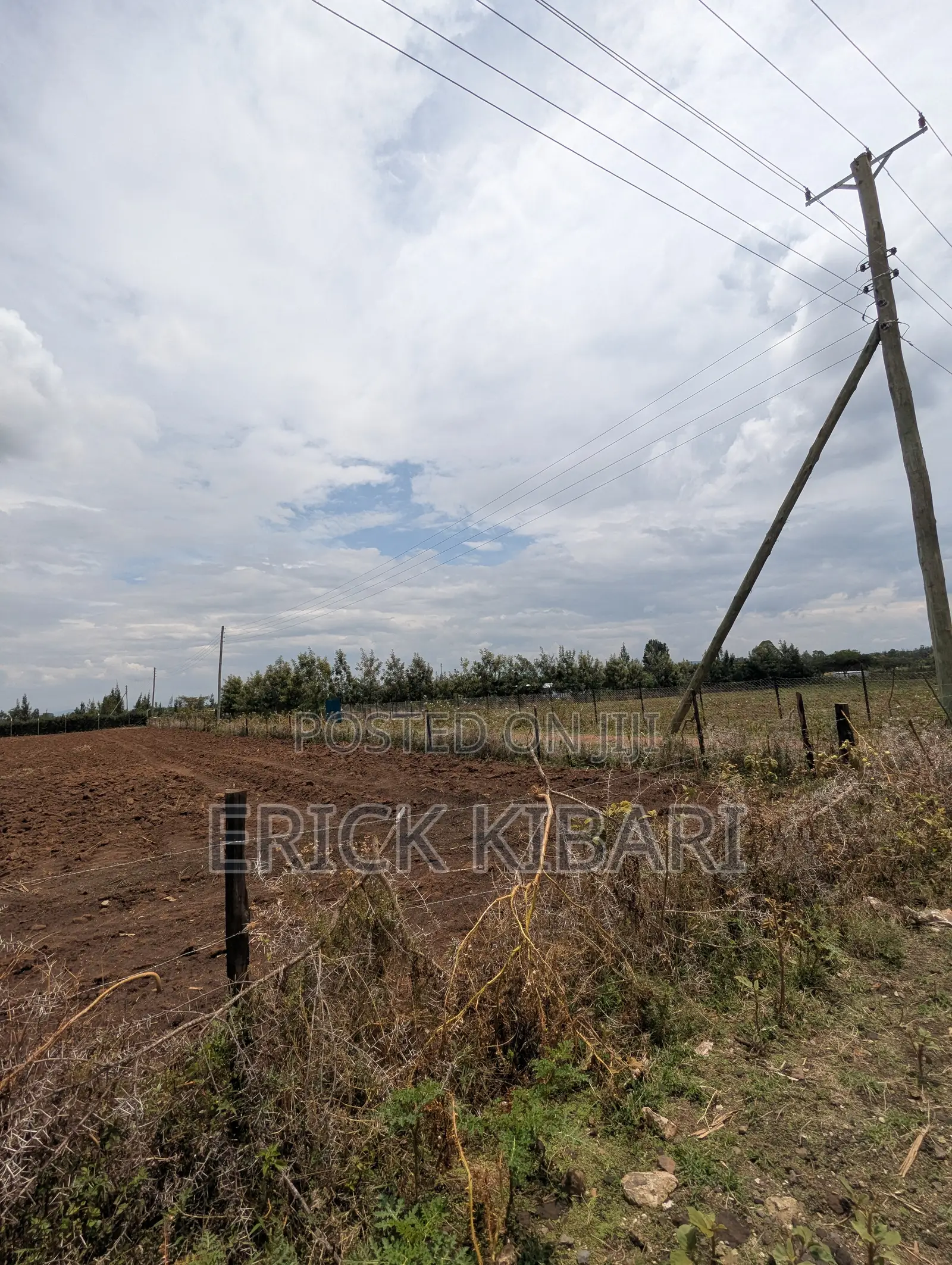 1 Acre Piece of Land