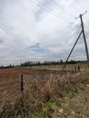1 Acre Piece of Land