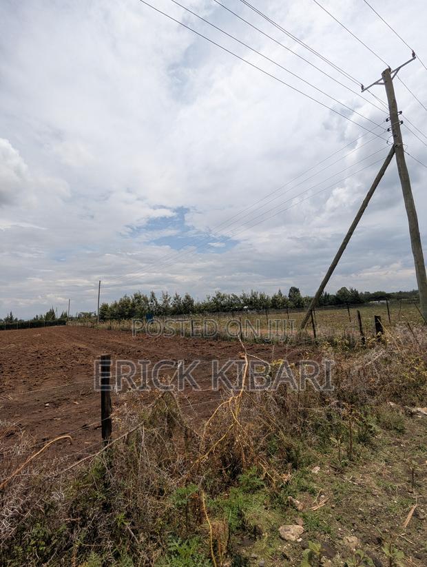 1 Acre Piece of Land - thumbnail 3