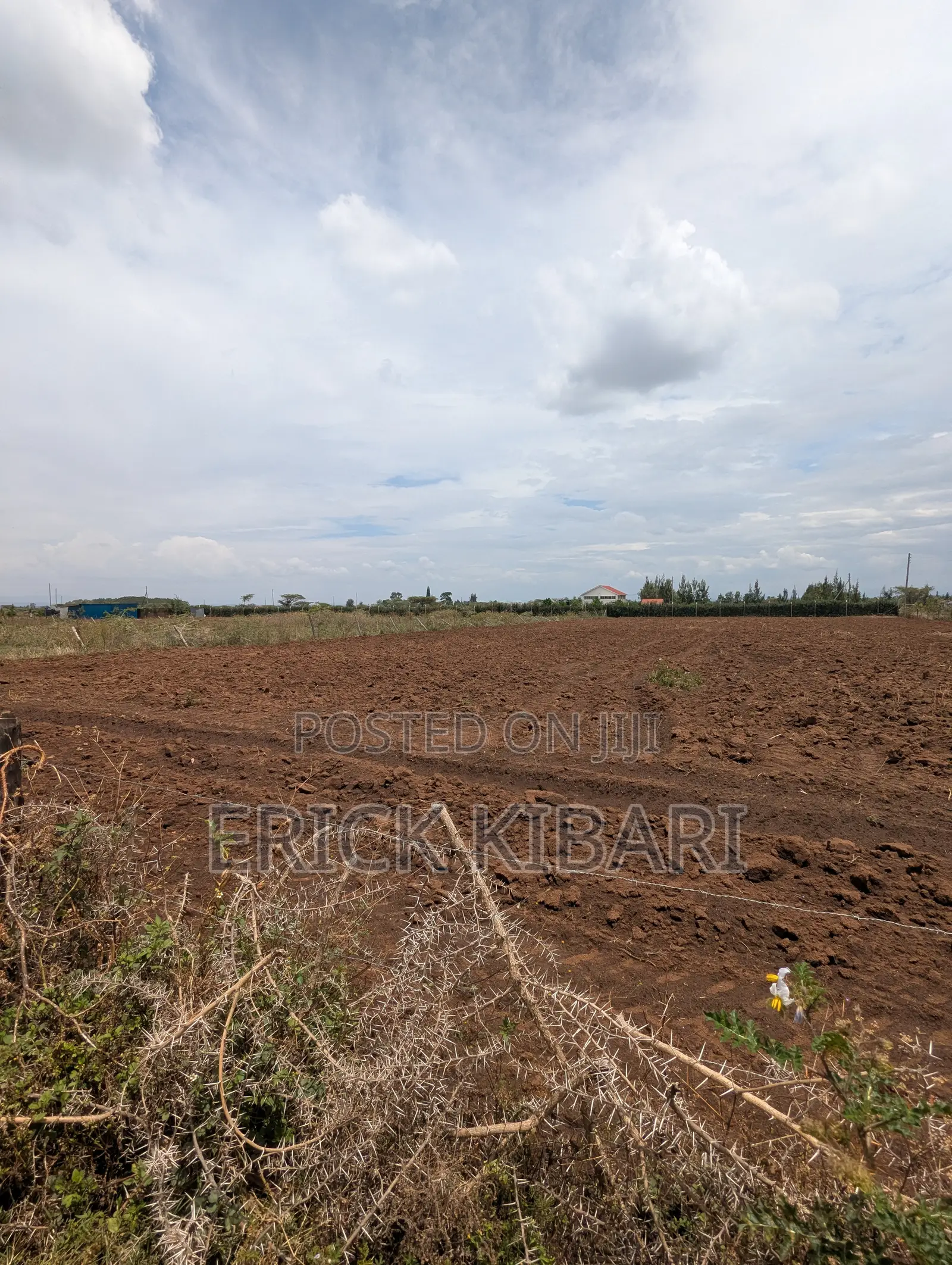 1 Acre Piece of Land