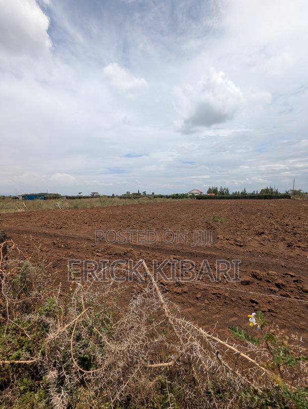 1 Acre Piece of Land - thumbnail 4