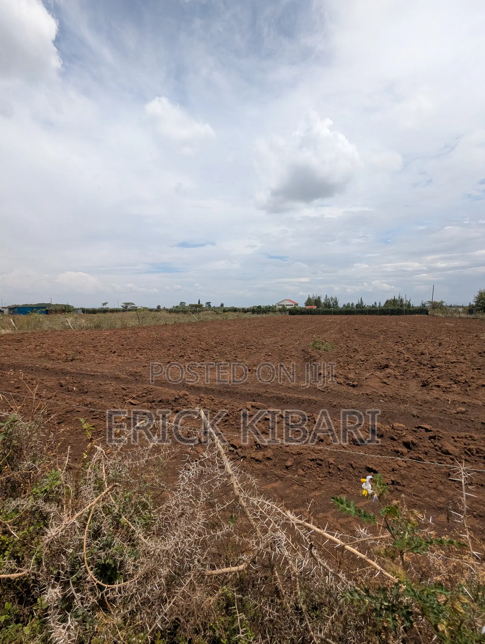 1 Acre Piece of Land