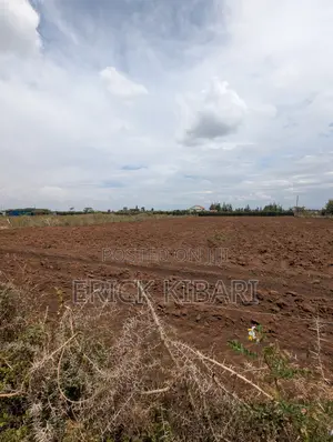 1 Acre Piece of Land