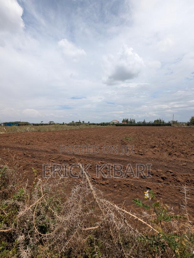 1 Acre Piece of Land - thumbnail 5