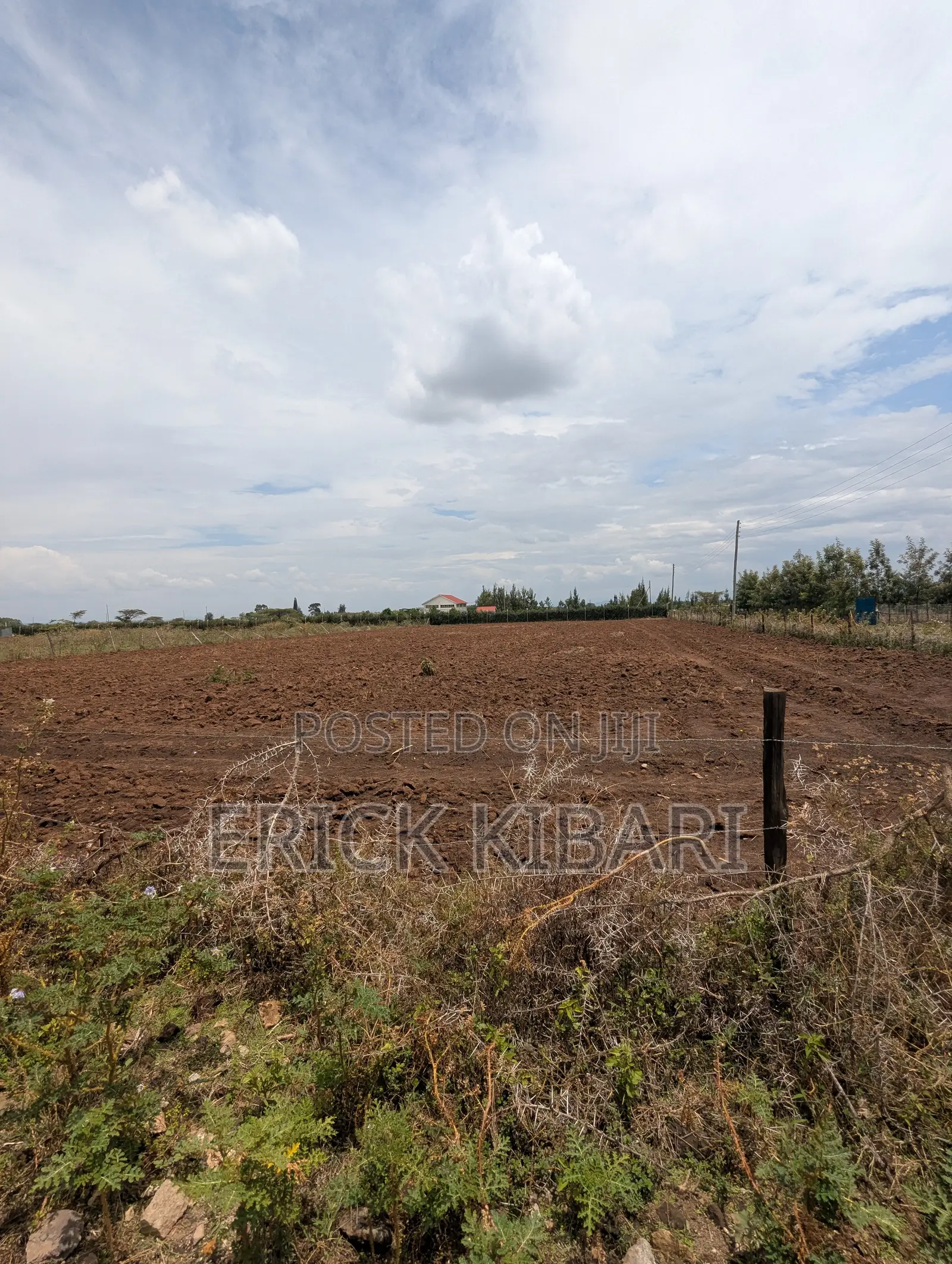 1 Acre Piece of Land