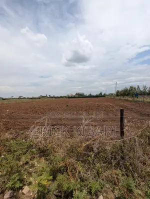 1 Acre Piece of Land