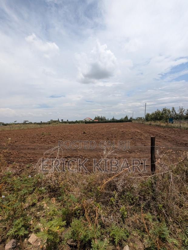 1 Acre Piece of Land - thumbnail 6