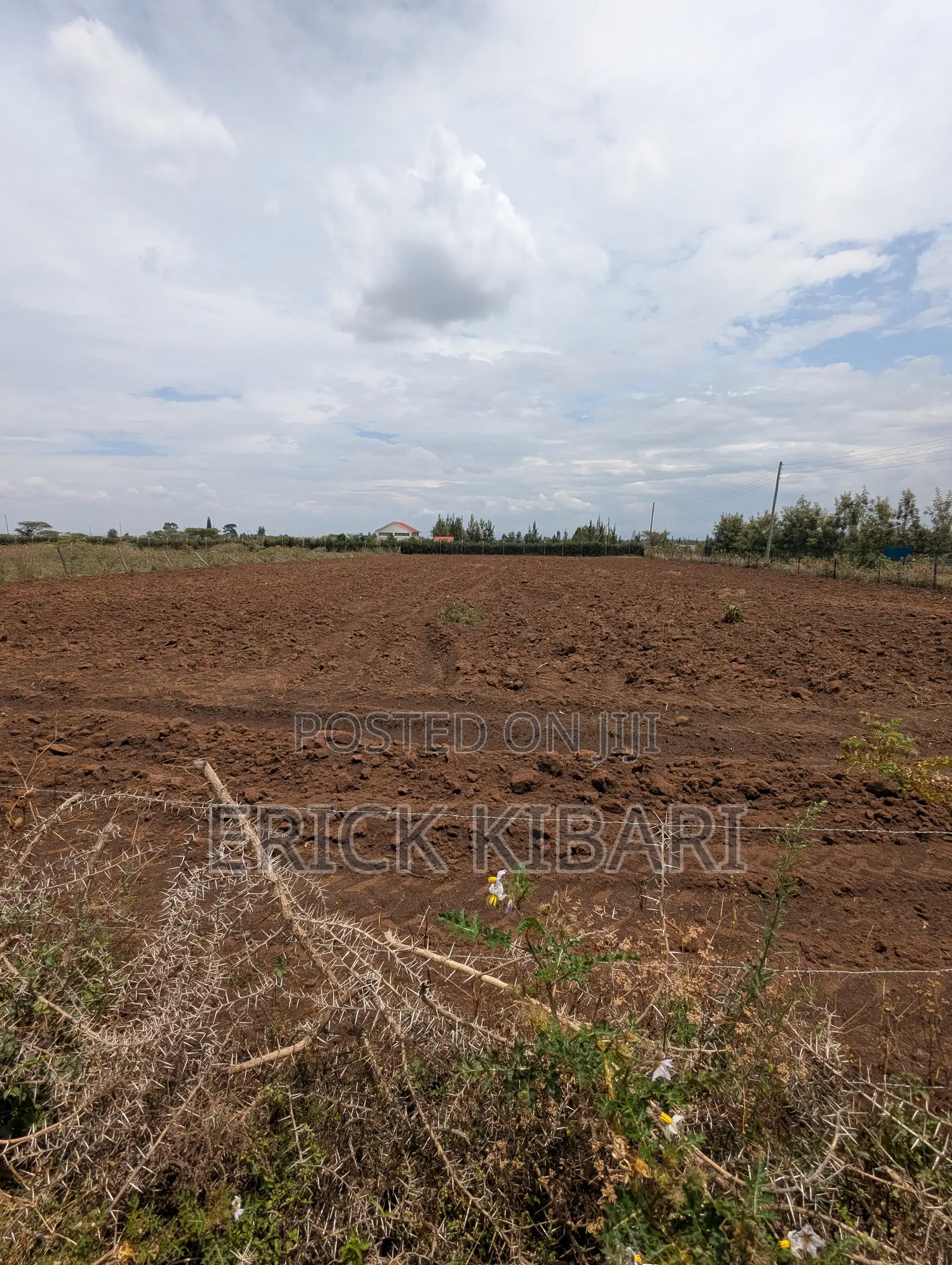 1 Acre Piece of Land