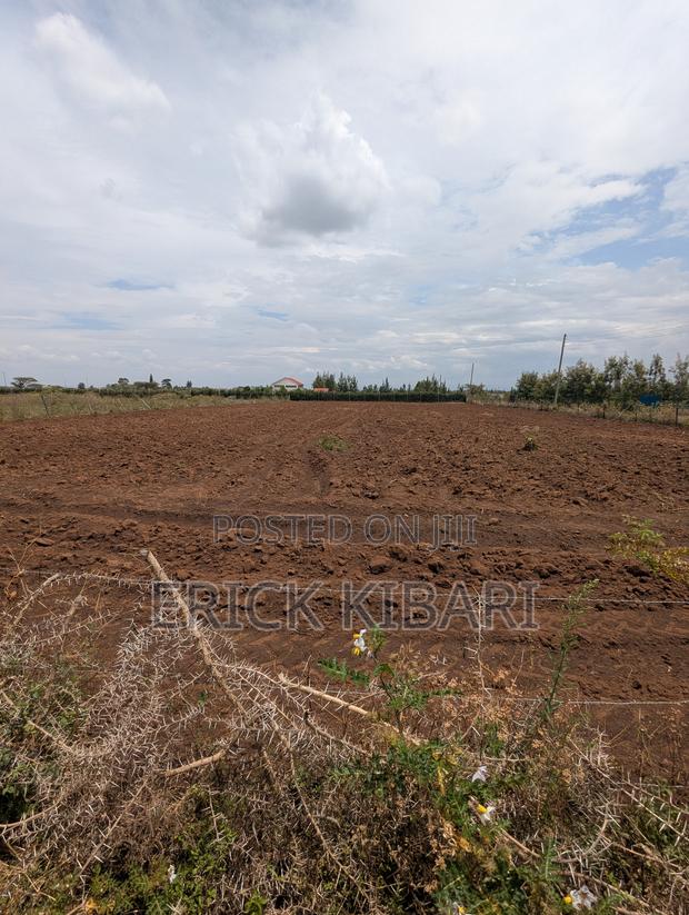 1 Acre Piece of Land - thumbnail 7