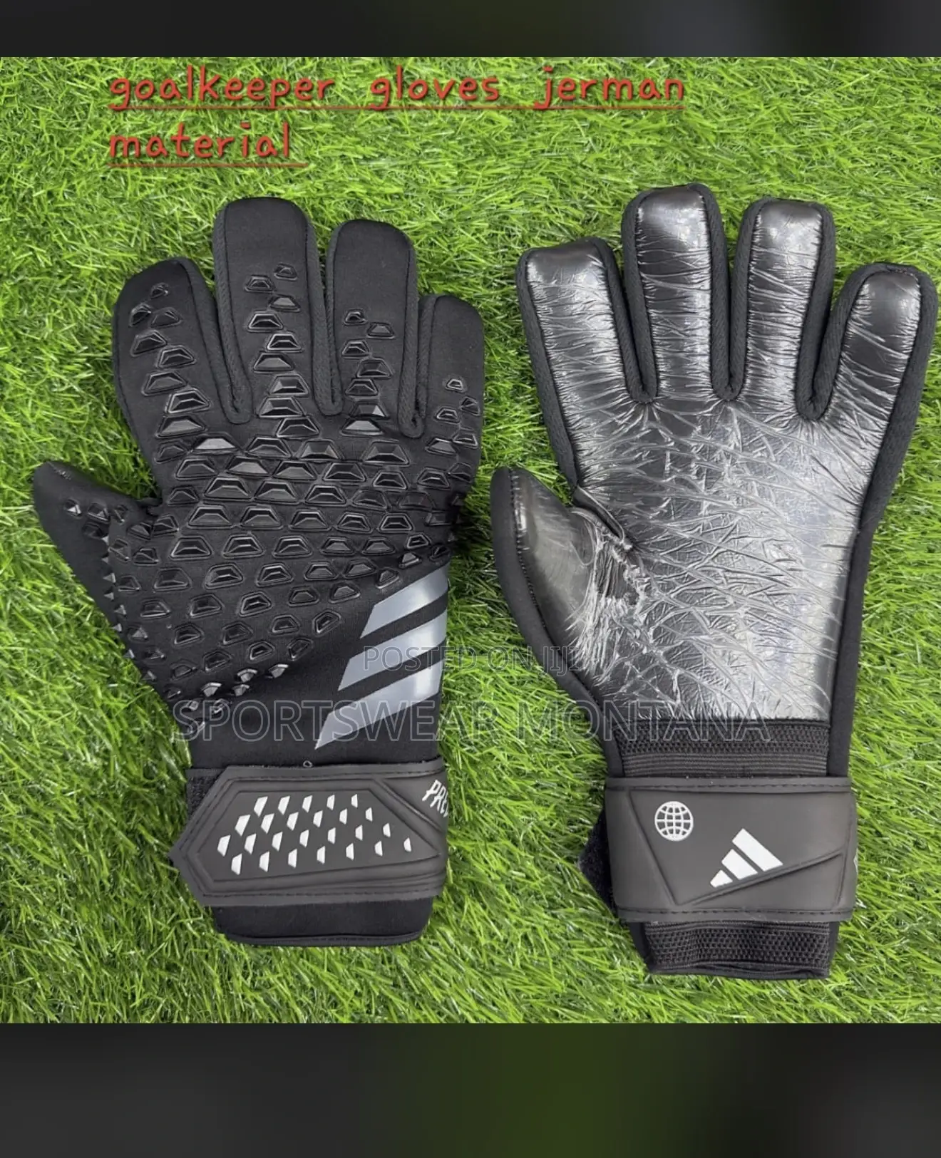 Sportswear Montana