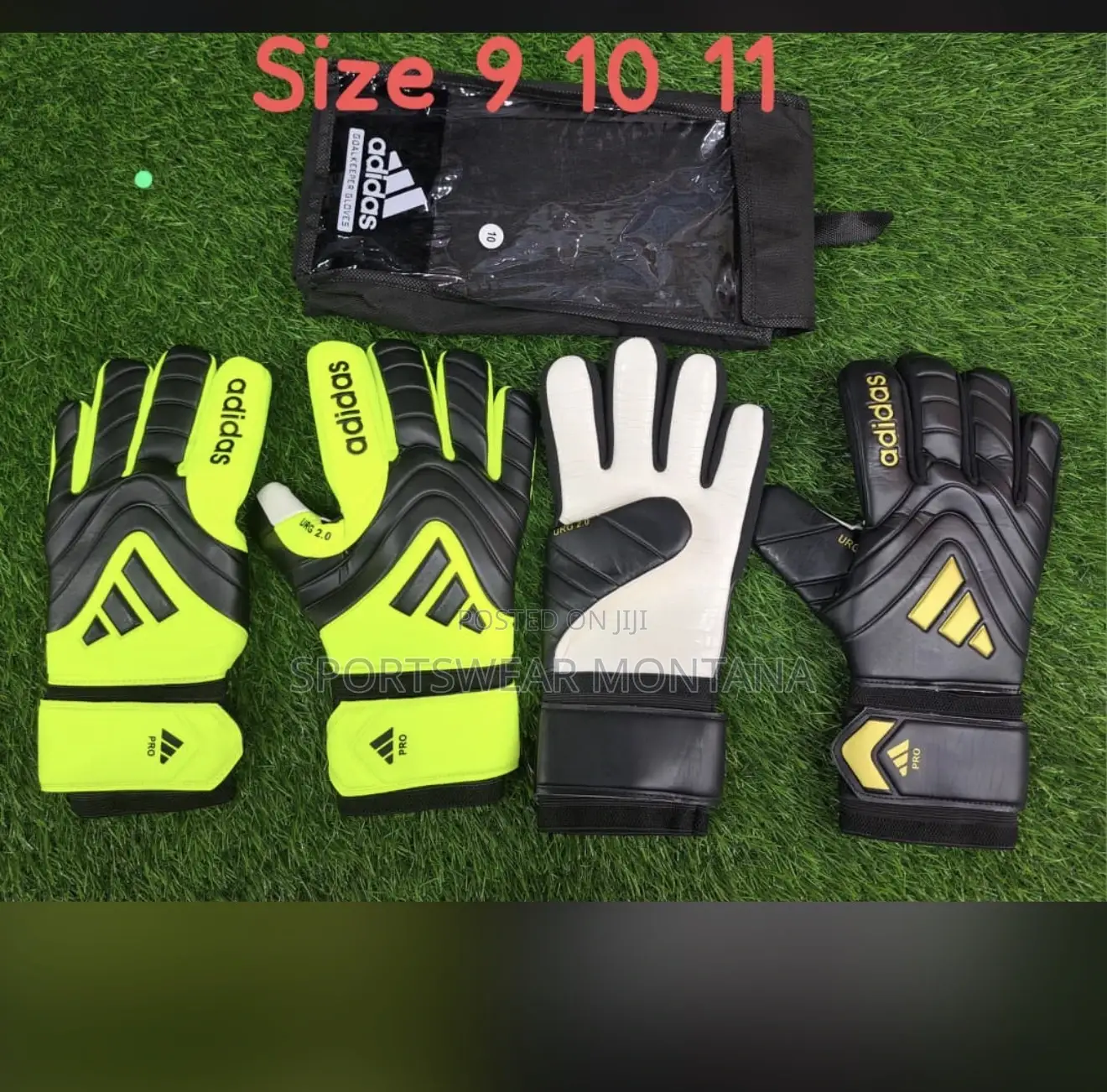 Sportswear Montana