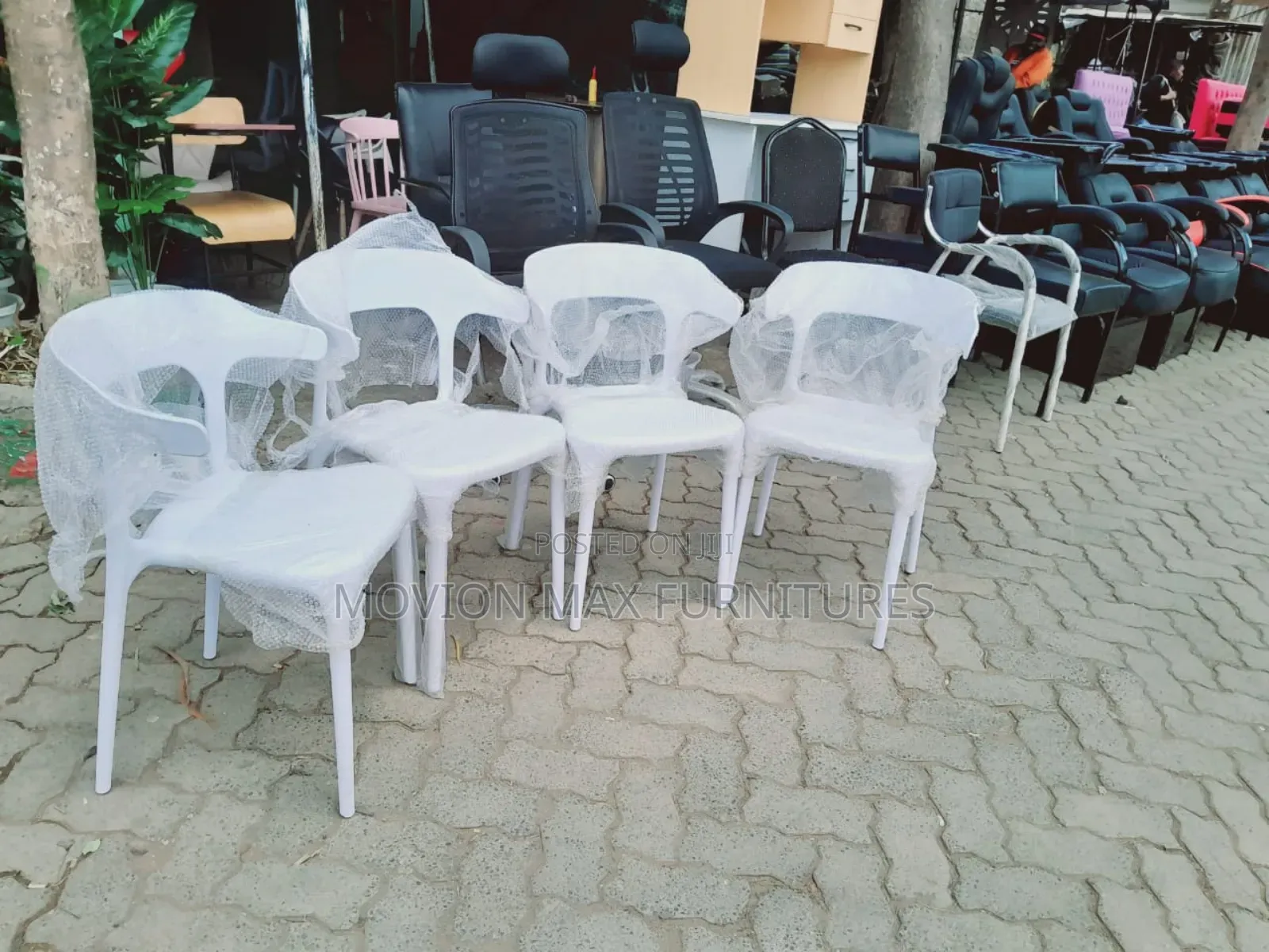 Stylish Dinning Chairs