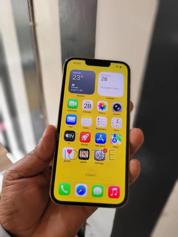 Apple iPhone 13 Pro 128 GB Gray - main view