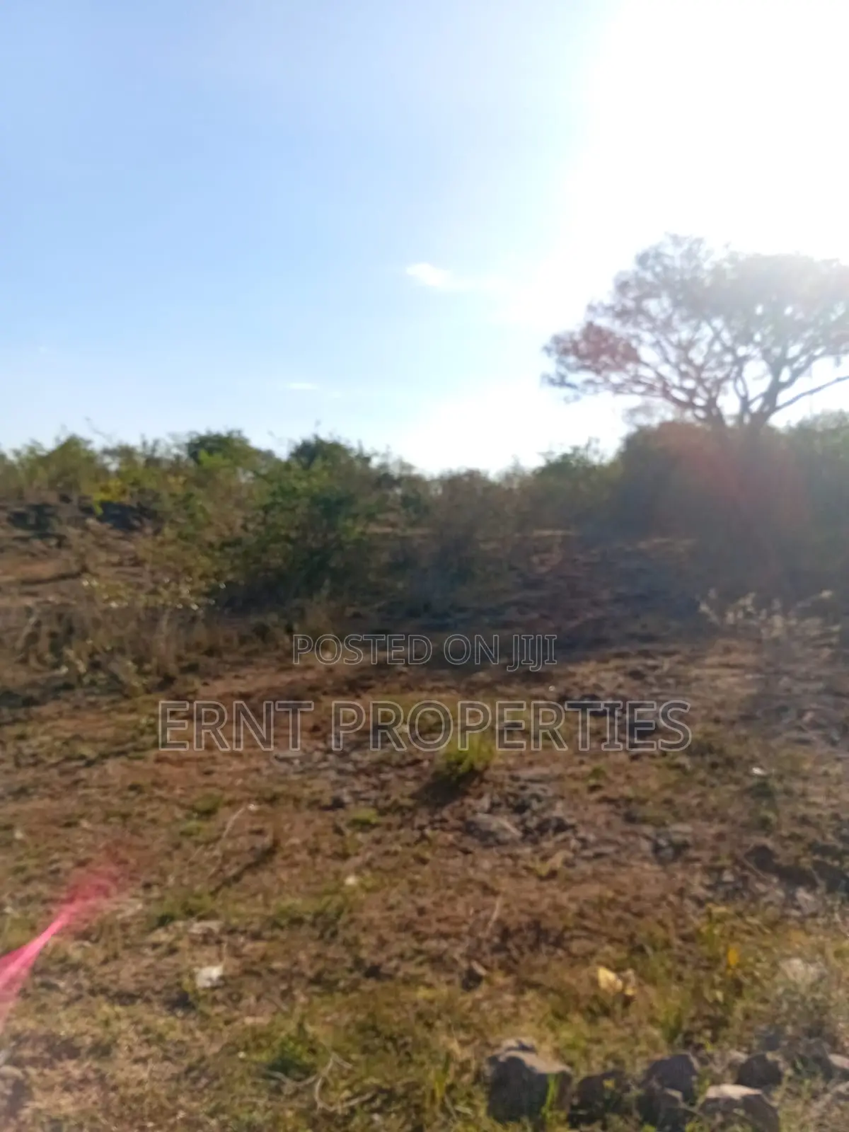Prime 1/4 Acre Residential Plots for Sale in Rongai