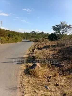 Prime 1/4 Acre Residential Plots for Sale in Rongai