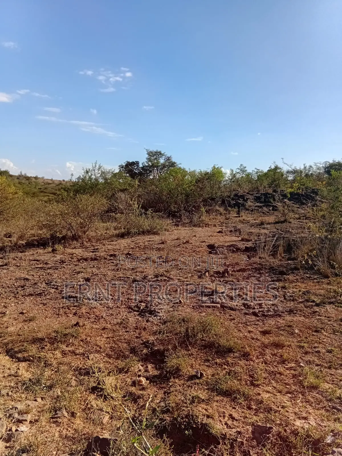 Prime 1/4 Acre Residential Plots for Sale in Rongai