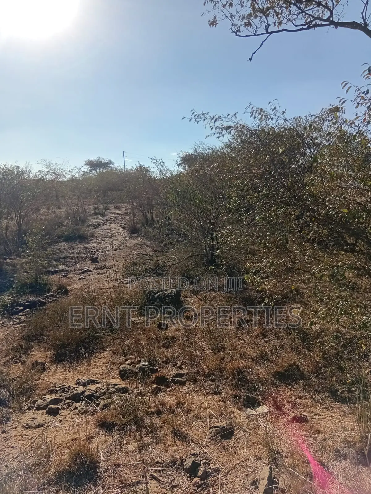 Prime 1/4 Acre Residential Plots for Sale in Rongai