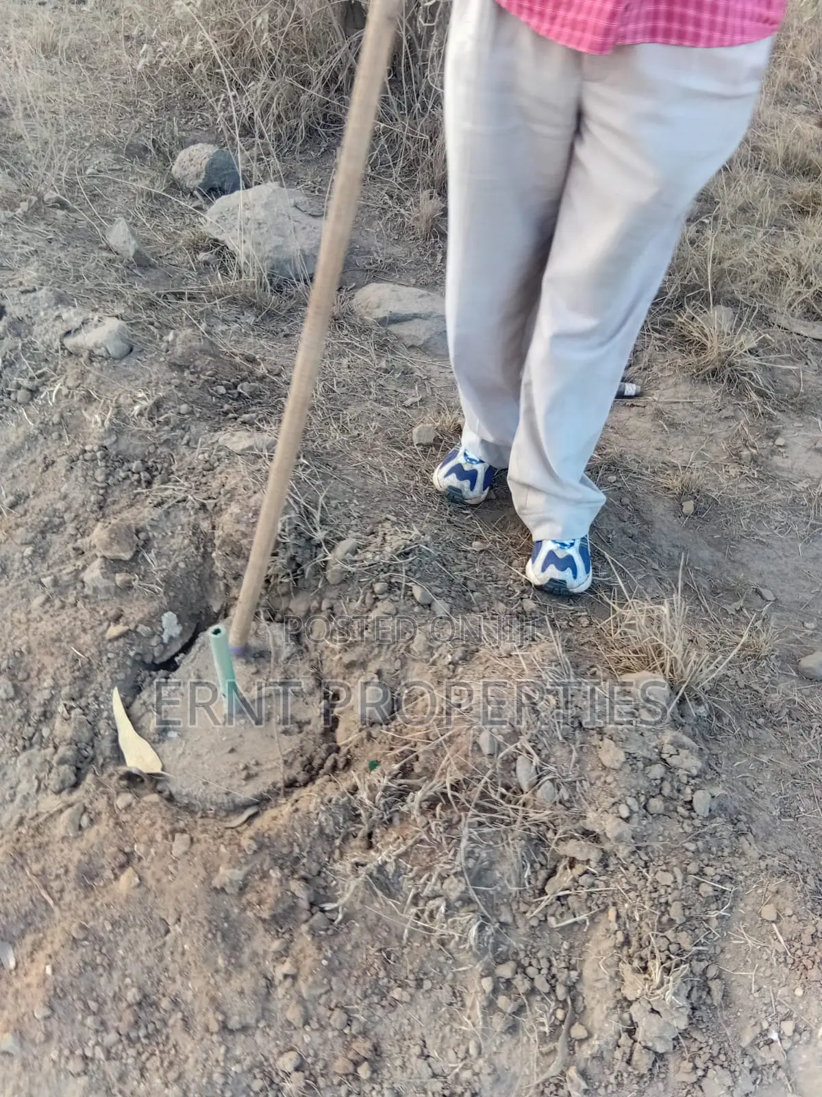 Easter Offer 26 1/4 Acre Plots for Sale Near African Nazarene