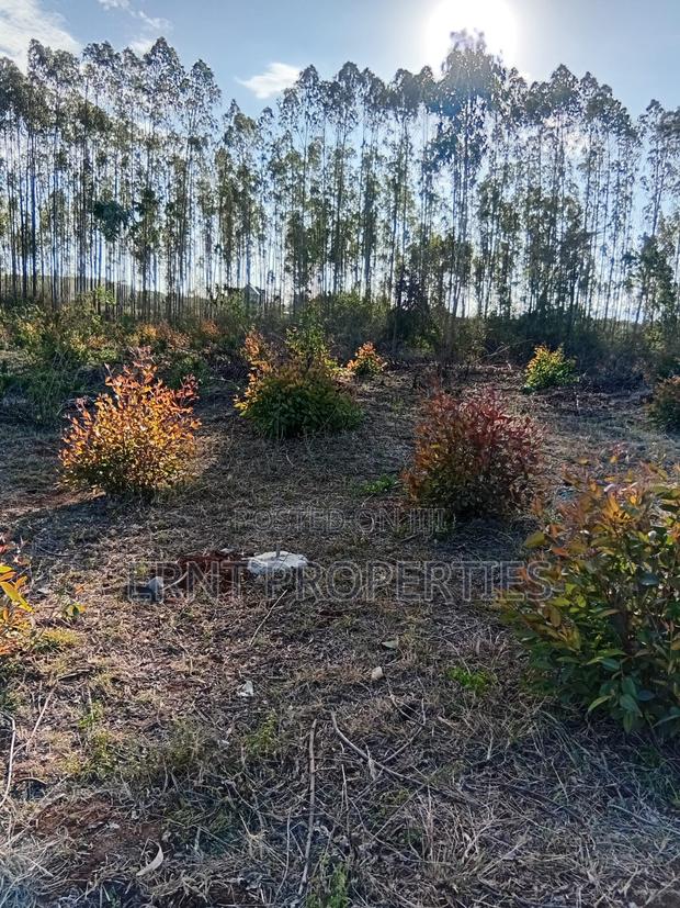 Easter Offer 26 1/4 Acre Plots for Sale Near African Nazarene