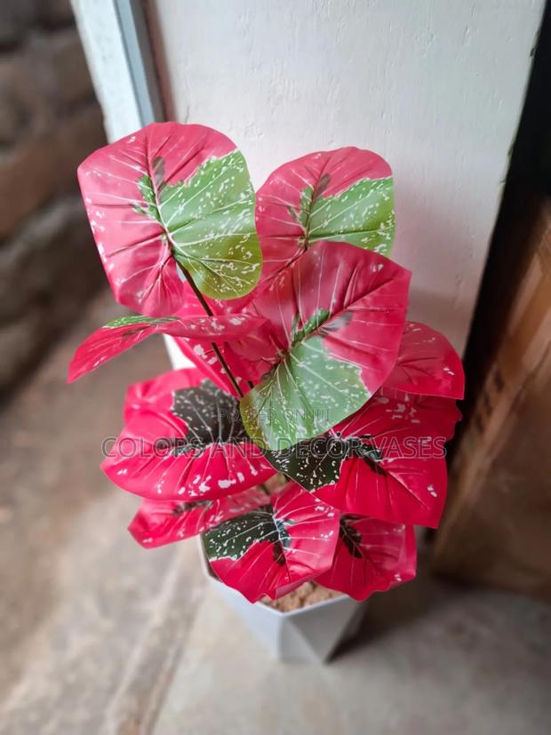 Red Green Plant in Vase