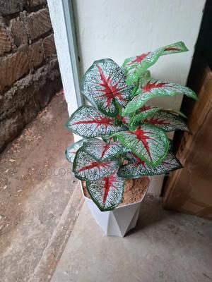 Beautiful Plant in Vase KSH 2000 - main view