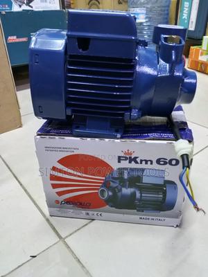 Pedrollo 0.5hp,35m Head Water Pump - thumbnail 2