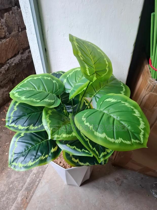 Home Decorative Plant Plus Vase - main view